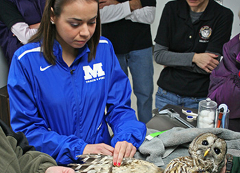 Student spreading wing of an owl